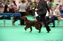 Crufts2011 129